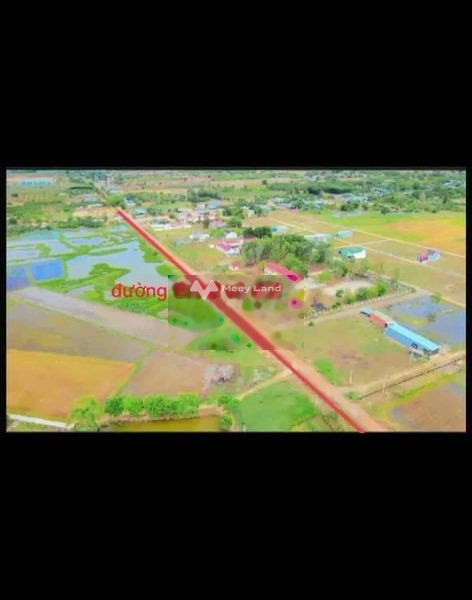 Bán đất 2.85 tỷ Bắc Bình, Bình Thuận diện tích thực tế 5565m2-01