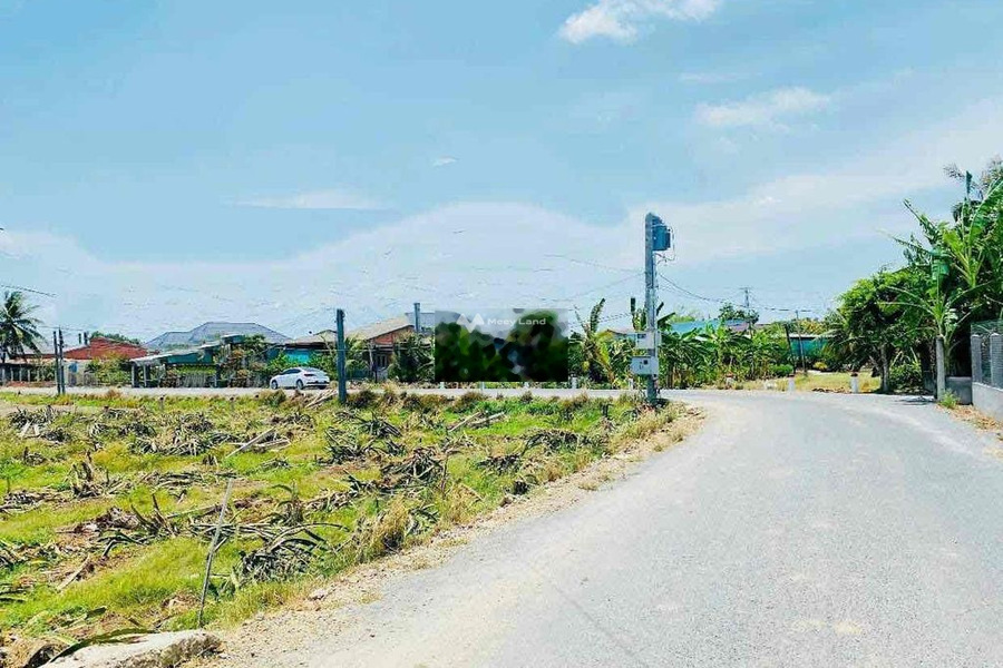 Nằm tại Nguyễn Văn, Tân Trụ bán đất 620 triệu với diện tích chuẩn 120m2-01
