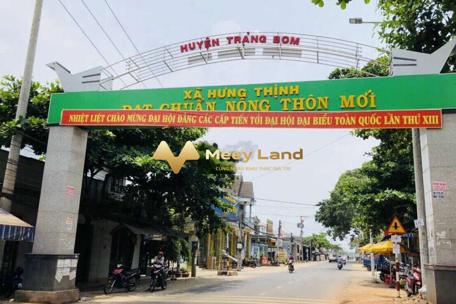 Bán đất 2.6 tỷ Xã Hưng Thịnh, Tỉnh Đồng Nai với dt thực 1145m2-01