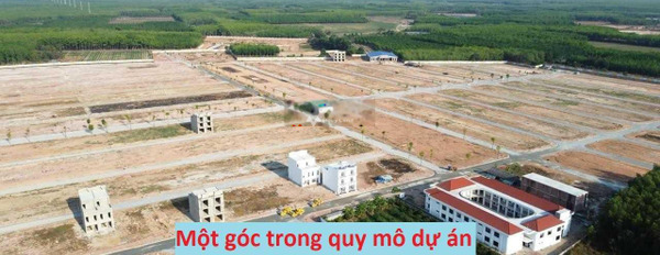 Nằm ngay Green City bán đất Phước Hòa, Bình Dương diện tích gồm 80m2-03