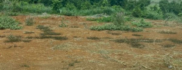 Bán 2 lô đất mặt tiền nhựa xã Láng Dài, Đất Đỏ, Bà Rịa - Vũng Tàu-03