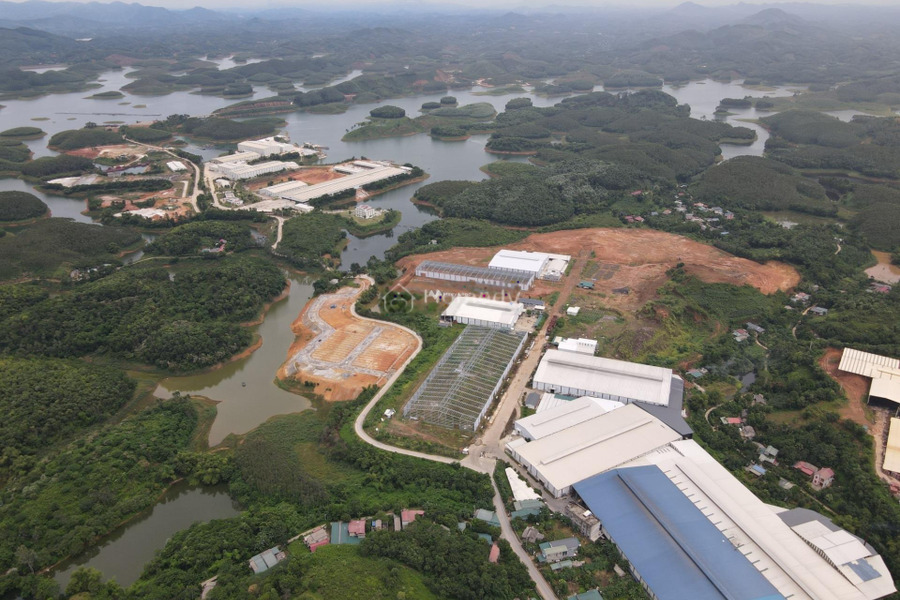 Yên Bình, Yên Bái bán đất giá bán quy định chỉ 666 triệu diện tích tầm trung 100m2-01