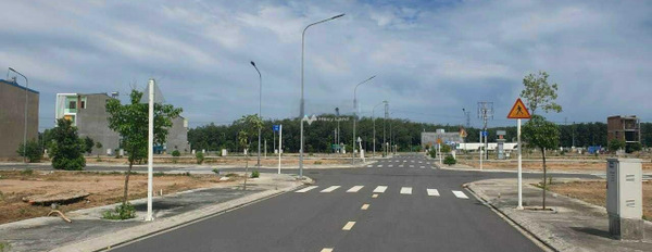 Bán đất tại Đường 767, Trảng Bom, diện tích 100m2-02