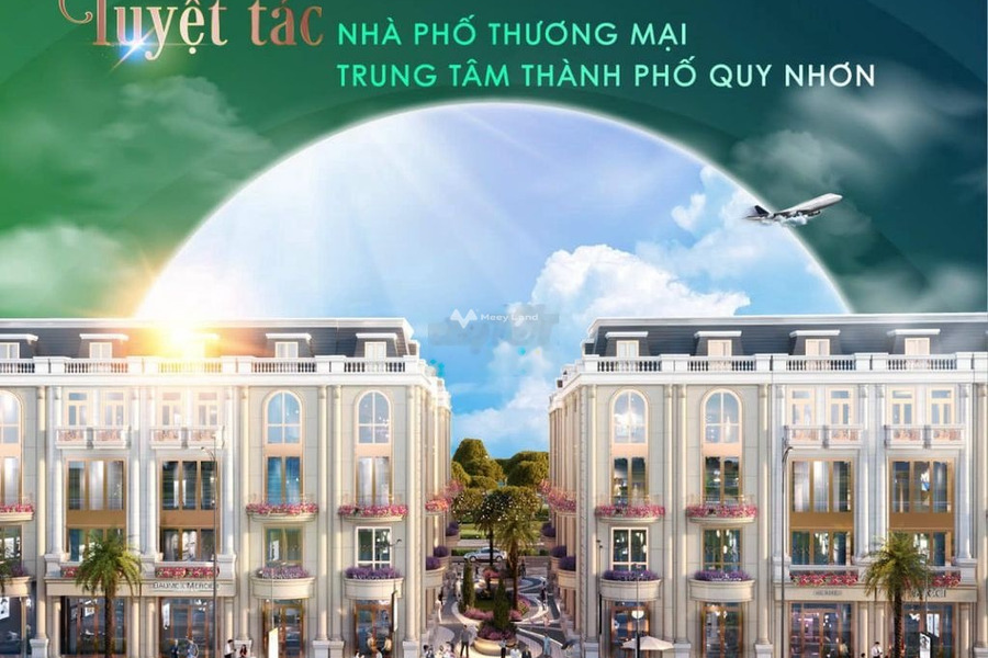 Khoảng 7 tỷ bán căn hộ diện tích thực tế 90m2 vị trí đặt tọa lạc tại Trần Quang Diệu, Bình Định-01