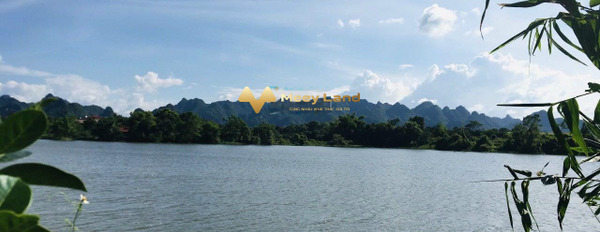 Bán đất có dt trung bình 5823 m2 mặt tiền tọa lạc ngay tại Xã Phú Thành, Tỉnh Hòa Bình-02