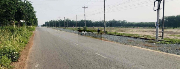 45 ha đất mặt tiền ĐT 756, thị xã Chơn Thành, Bình Phước -03