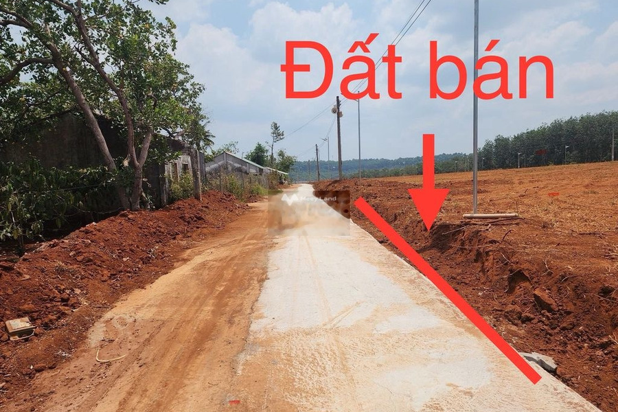 300 triệu bán đất có diện tích chính 1000m2 vị trí đặt vị trí ở Đồng Phú, Bình Phước, hướng Đông Nam-01
