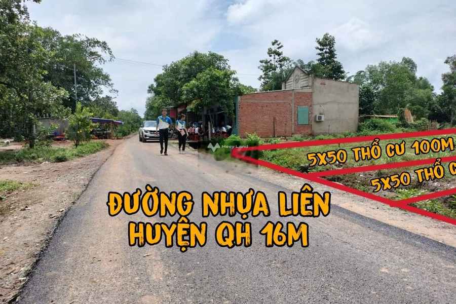 290 triệu bán đất có diện tích sàn 300m2 mặt tiền tọa lạc ở Long Bình, Phú Riềng-01