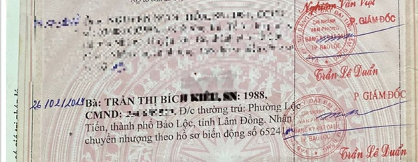 Mặt tiền tọa lạc ở Bảo Lâm, Lâm Đồng bán đất-02