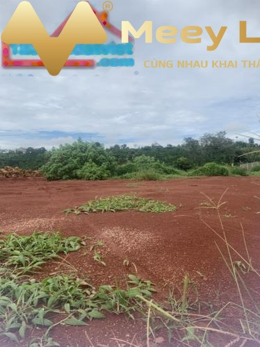 Nguyễn Viết Xuân, Bảo Lộc 799 triệu bán đất có dt chính 110 m2-01