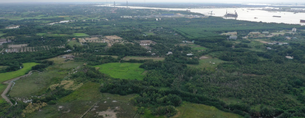 Chính chủ bán đất vườn 1000m2 view đẹp Phước Khánh, Nhơn Trạch-03