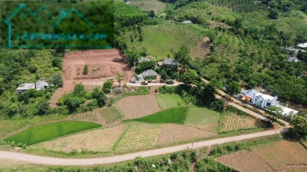 Từ 2.2 tỷ bán đất có diện tích chung 2000m2 vị trí thích hợp Nam Phong, Cao Phong-01