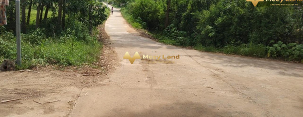 Giá phải chăng từ 360 triệu bán đất có diện tích thực 200 m2 vị trí thuận lợi tọa lạc ngay Phú Trung, Tân Phú-02
