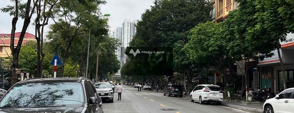 Tổng quan nhà gồm 1 PN bán nhà bán ngay với giá đề cử từ 21.8 tỷ diện tích gồm 105m2 vị trí mặt tiền nằm tại Bùi Huy Bích, Thịnh Liệt-03
