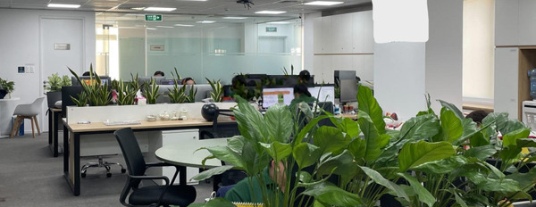 Vị trí đặt ngay trên Phú Nhuận, Hồ Chí Minh cho thuê sàn văn phòng có một diện tích 300m2-03