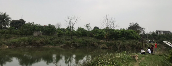 Bán đất giá rẻ tại Thịnh Đức, Thái Nguyên, diện tích 3000m2-02