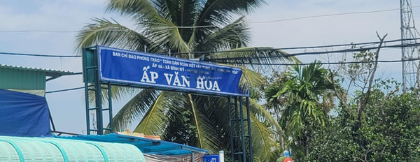 Vị trí thuận tiện ngay tại Hà Duy Phiên, Củ Chi bán đất giá rẻ chỉ 5.7 tỷ diện tích chính là 4627m2-02
