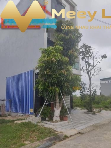 Giá 2.16 tỷ bán đất với dt khoảng 85 m2 Bên trong Thanh Hóa, Thanh Hóa, hướng Nam-01
