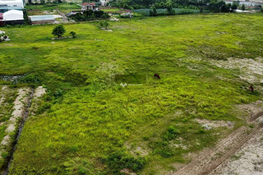 Cần bán đất tại Xuân Trường, Nam Định. Diện tích 13000m2-01