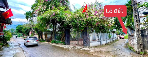 Cần bán nhà riêng huyện Tam Đảo tỉnh Vĩnh Phúc, giá 600 triệu-02