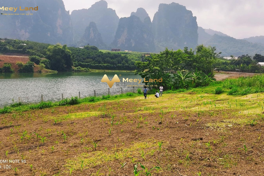 Bán đất tại Cao Phong, Hòa Bình. Diện tích 4200m2, giá 3,4 tỷ-01