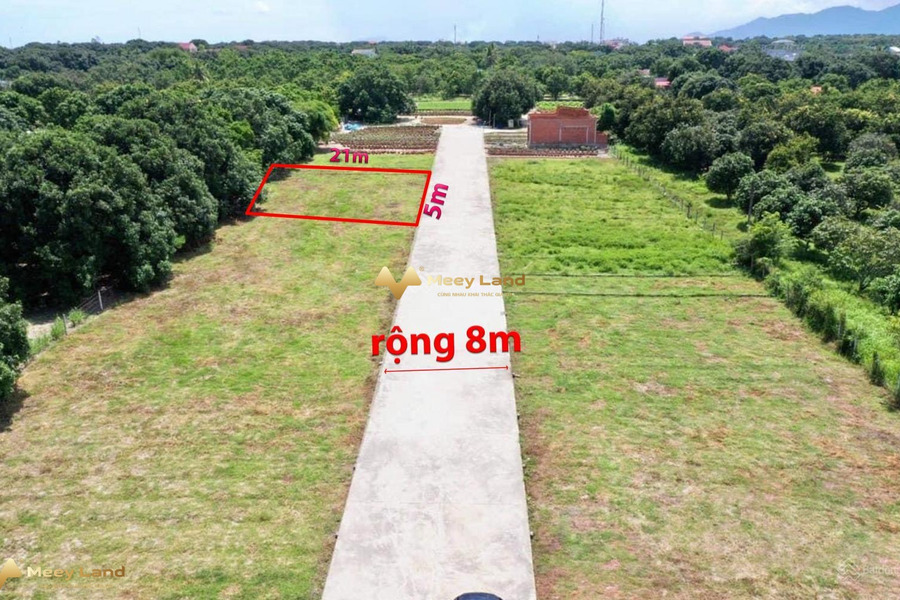 Bán đất diện tích là 107m2 vị trí nằm ở huyện Cam Lâm, tỉnh Khánh Hòa giá ưu đãi-01