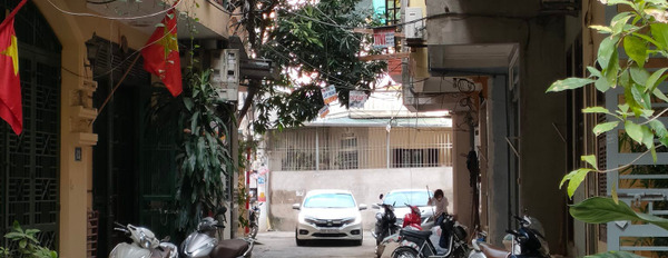 Bán 48m2 đất phố Thịnh Liệt, ô tô tránh, đường trải nhựa, giá chào 3.4 tỷ-02