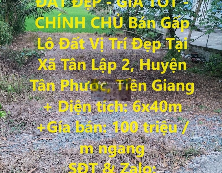 Tân Lập 2, Tiền Giang bán đất giá cực sốc 600 triệu có diện tích trung bình 240m2-01