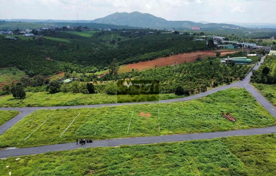 Lộc Ngãi, Lâm Đồng 1.37 tỷ bán đất, hướng Đông Bắc diện tích rộng lớn 303m2-01