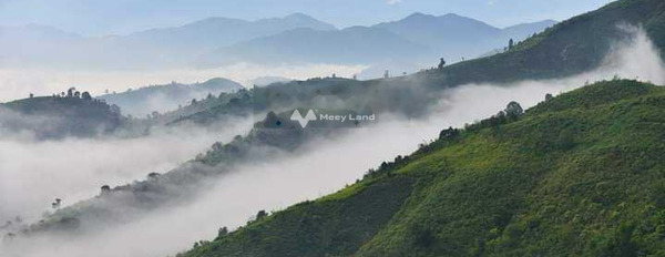 Vị trí đẹp ngay Bảo Lâm, Lâm Đồng bán đất, giá cực mềm chỉ 1 tỷ diện tích thực dài 1000m2-03