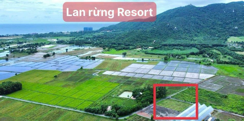 Bán nhà riêng huyện Đất Đỏ tỉnh Bà Rịa - Vũng Tàu giá 6.6 tỷ-1