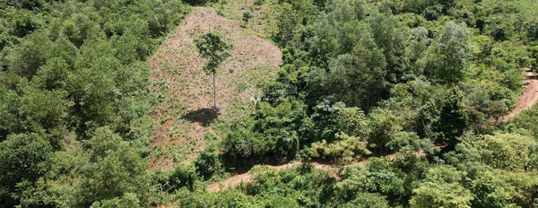 Nằm ngay bên trong Kim Bôi, Hòa Bình bán đất, giá không trung gian 12 tỷ diện tích tầm trung 400000m2-02