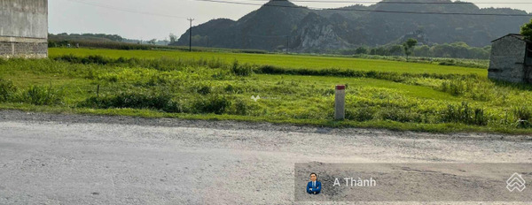 1.2 tỷ bán đất toàn bộ khu vực có diện tích 125m2 vị trí thuận tiện Yên Lâm, Thanh Hóa-03