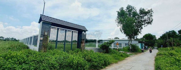 Bán đất 18.5 tỷ Ngô Quang Thắm, Nhà Bè có diện tích quy ước 1300m2-03
