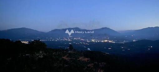 Giá bán chính chủ 11.5 tỷ bán đất có diện tích tổng là 17148.1m2 vị trí đặt ngay trên Tân Lạc, Lâm Đồng-02