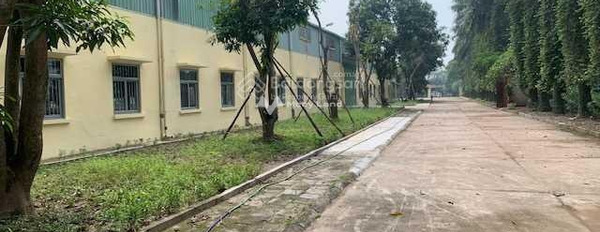 Chính chủ cho thuê kho bãi diện tích tổng là 7.5m2 vị trí mặt tiền ngay ở Phú Xuyên, Hà Nội nội thất hiện đại-02