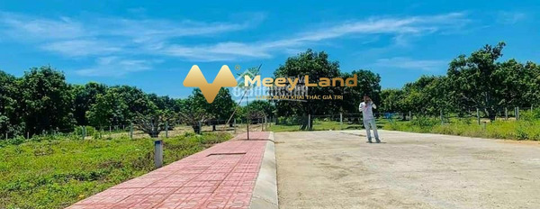 Bán đất huyện Cam Lâm, tỉnh Khánh Hòa-03