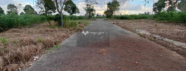 Gần Phước An, Đồng Nai bán đất giá sang tên 900 triệu Diện tích nền 90m2-02
