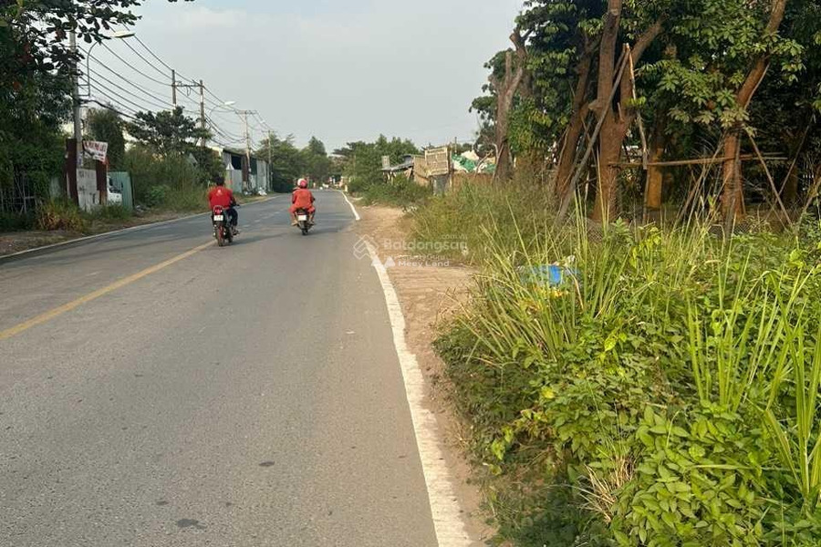 Có nhu cầu bán đất Mai Bá Hương, Hồ Chí Minh giá bán khuyến mãi chỉ 3 tỷ diện tích vừa phải 150m2-01