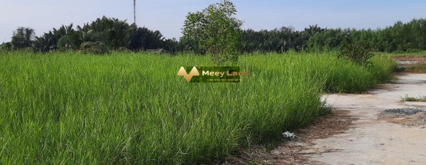 Bán đất tại Đường Rừng Sác, Hồ Chí Minh, giá 15,96 tỷ, diện tích 2156m2-02
