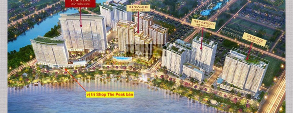Bán chung cư vị trí thuận lợi nằm ở Tân Phú, Hồ Chí Minh, bán ngay với giá cực mềm 8.75 tỷ với diện tích rộng 130m2-02
