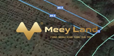 Phước Tân, Xuyên Mộc 1.8 tỷ bán đất có diện tích tổng 507m2-03