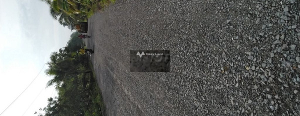 Bán mảnh đất Gò Công trên 8000m2, mặt tiền đường lớn 50m-03