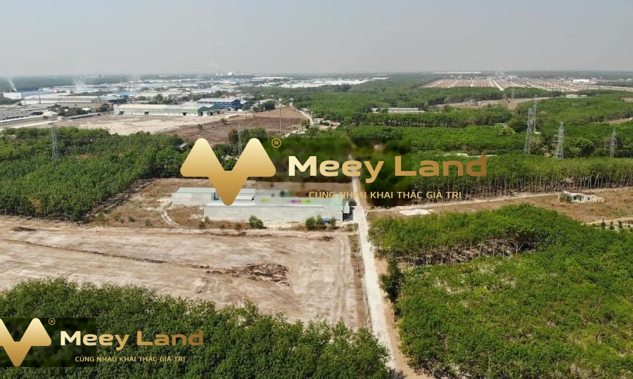 Vị trí đặt ngay tại Đường 12, Tỉnh Bình Phước bán đất giá bán sang tên 1.4 tỷ diện tích rộng là 250 m2-01