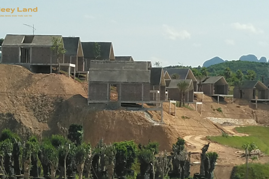 Bán 21385m2 đất full thổ cư xã Nhuận Trạch, Lương Sơn, chia lô, xây nghỉ dưỡng, hàng xóm Legacy Hill-01