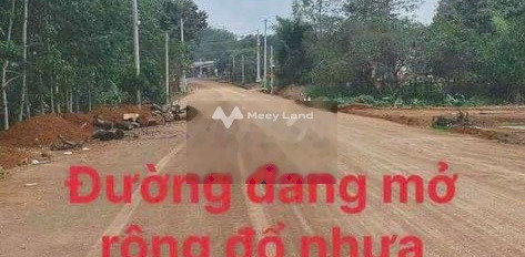 Nằm trong mức 320 triệu bán đất có một diện tích 1000m2 vị trí đặt nằm ở Tân Hưng, Bình Phước-03