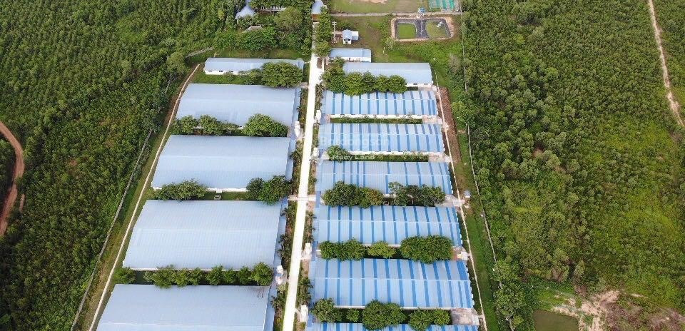 Nhà gặp khó khăn bán trang trại 420000m2 bán ngay với giá cực kì tốt 79 tỷ mặt tiền tọa lạc ở Xuân Lộc, Đồng Nai