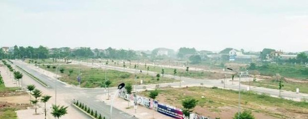 Trình làng siêu phẩm đất nền sổ đỏ đầu tiên tại thành phố biển Quy Nhơn-02