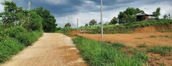 Lộc Phú, Bình Phước bán đất giá hiện tại 170 triệu diện tích chính là 2113m2-03