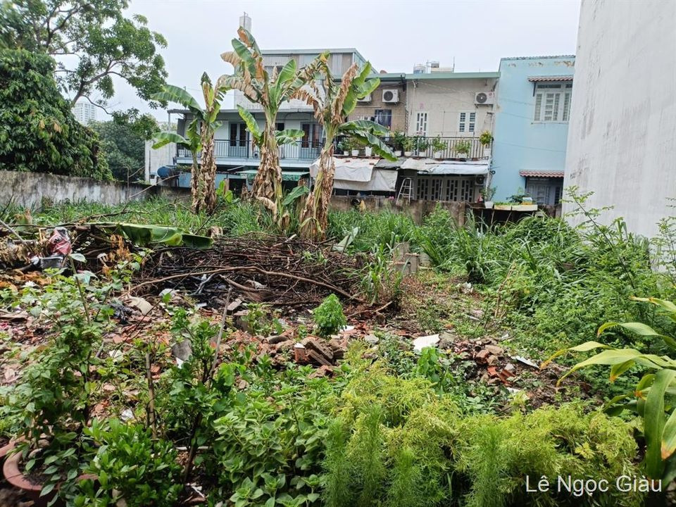 Bán nhà riêng quận 2 thành phố Hồ Chí Minh giá 7.2 tỷ-3